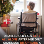 Old Lady Is Alone after Only Grandson Disappears a Day before Christmas — Story of the Day